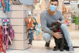 Curso Online Administração de Pet Shop