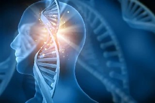 Curso Online Básico em Genética Humana