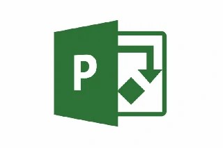 Curso Online MS Project