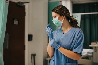 Curso Online Técnicas Básicas de Necropsia